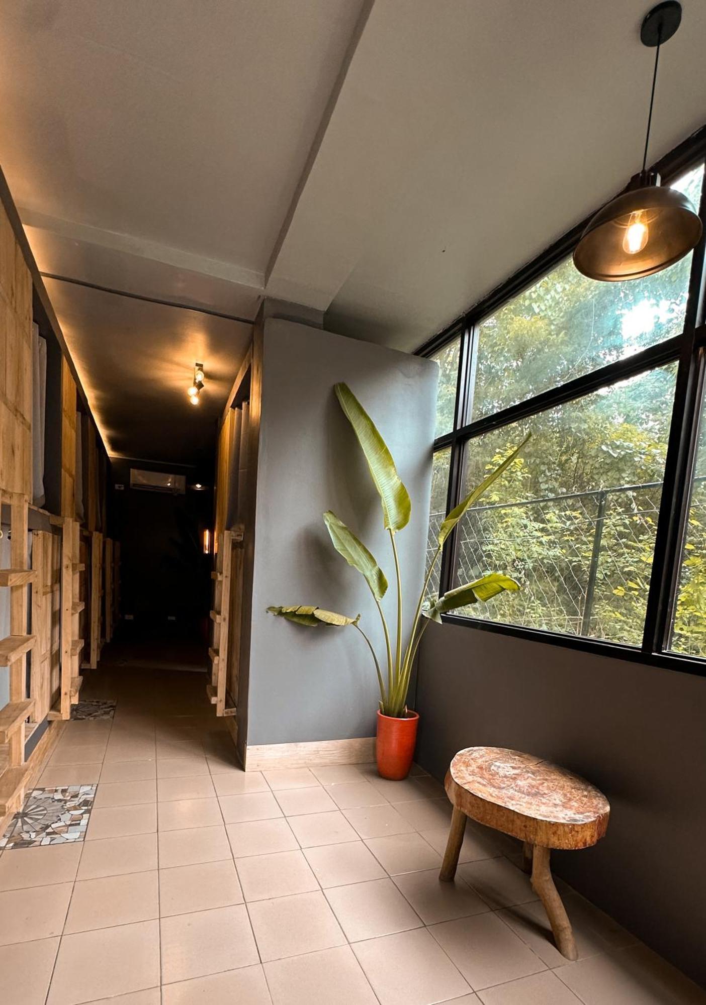 Resting Rabbit Hostel シキホール エクステリア 写真